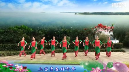 姑娘嫁给我吧 春英广场舞（附教学）