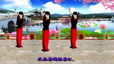 吕芳广场舞戏曲风格《书房门前一枝梅》正背