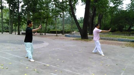 晨练杨式四十八式太极拳