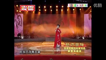 黄梅戏《我本闺中一钗裙》字幕版下载