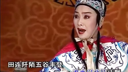 岳家世代尽忠贞林燕云.avi
