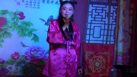扬剧《百岁挂帅》选段  田菊萍演唱高清下载