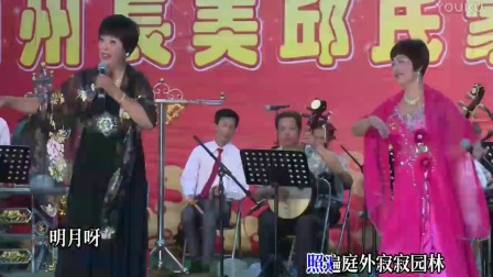 潮州长美潮剧票友演唱会带字幕
