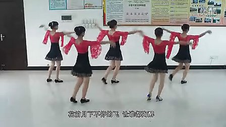 穿心村广场舞《梦中的蝴蝶》1高清