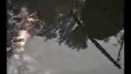 黄梅戏 马兰《西厢记》（第二集） 《黄梅戏专辑