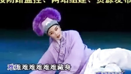 潮剧明星林燕云