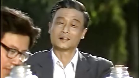 黄梅戏电视剧《严凤英》第13集
