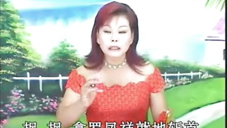 温州鼓词《慈云走国》2