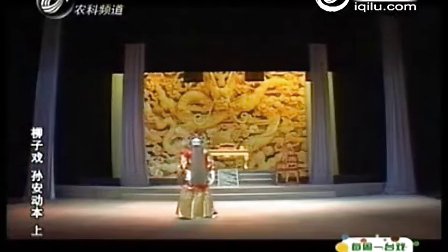 柳子戏《孙安动本》舞台高清