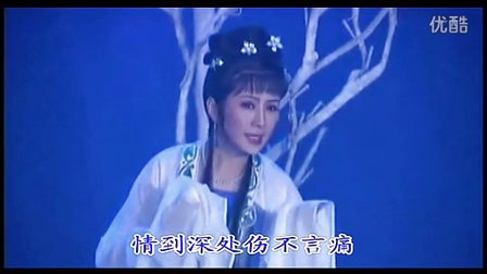 越剧越剧《风雪渔樵 愿伴青山共白头》袁派
