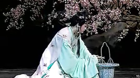 越剧表演艺术 标清