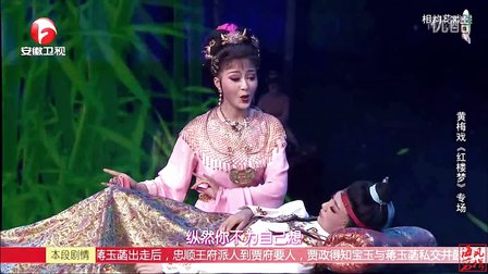 黄梅戏《红楼梦》选段三字幕版下载