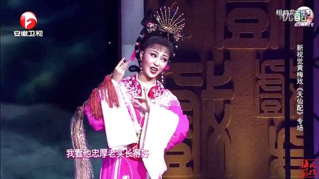 黄梅戏《天仙配》选段 袁媛等下载