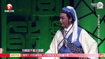 黄梅戏《天仙配》选段三高清下载