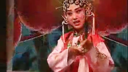 杨升娟 李晓娟《花亭相会》标清