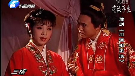 豫剧电影《泪洒相思地》标清