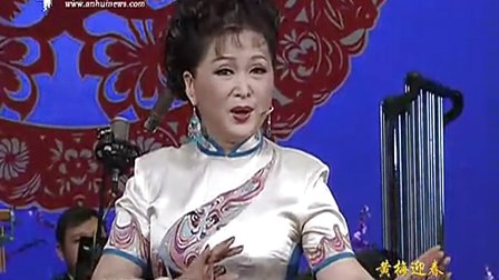 黄梅迎春 安徽2013年新春音乐会高清下载