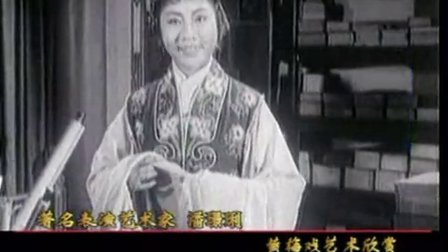 黄梅戏艺术欣赏 著名表演艺术家潘璟琍