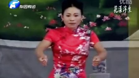河南坠子《小刘公》30 胡银花 （全书完）