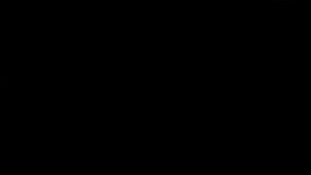二夹弦《采桑》