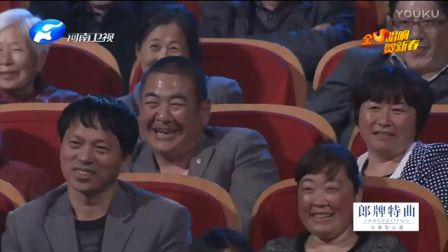 2017梨园春新年晚会 艺术家联唱下载