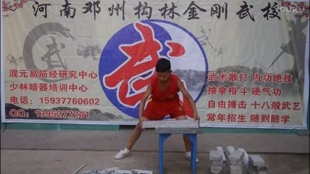 铁头功 大力金刚掌 混元易筋经