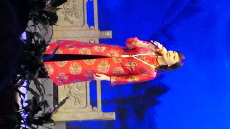 方亚芬演出花絮