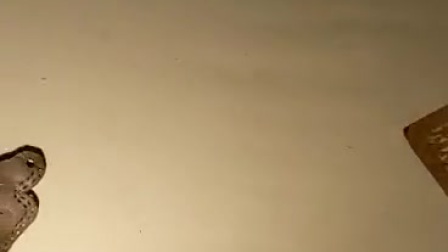 平江皮影戏1