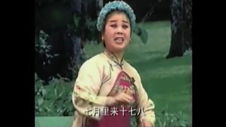 中文字幕 皖北《泗州戏》