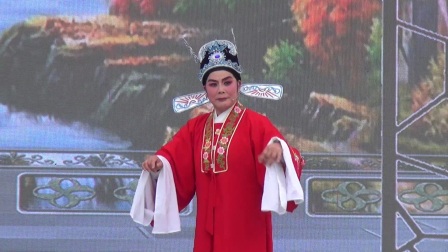 绍剧《三请樊梨花》《洞房》