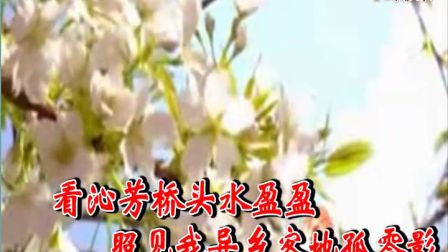 安徽庐剧《葬花》纯伴奏