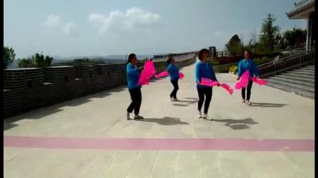 小台湾辣妈广场舞集锦