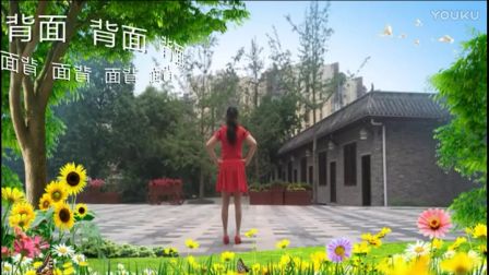 广场舞教学《龙的春天》高清