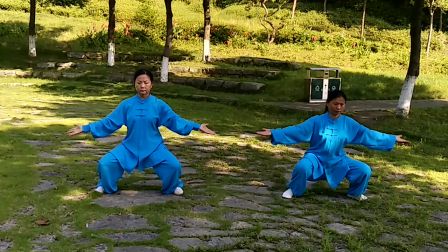2017年6月7曰森林舞台练习健身气功易筋经