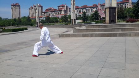 杨氏42式太极拳 聂老师