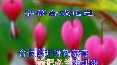 庐剧妈妈字幕版
