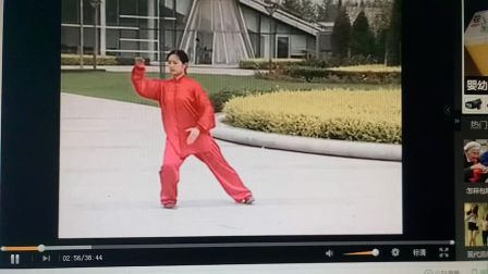 24式简化太极拳全套动作
