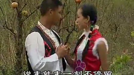 《摘石榴》全集《沂蒙小调》