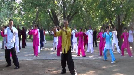传统杨式85式太极拳 张斌