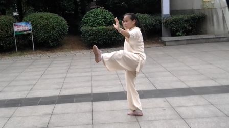 42式太极拳
