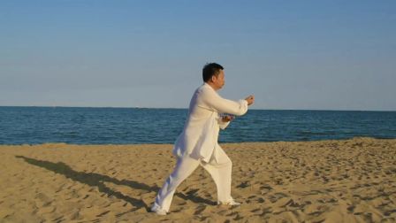 董氏太极拳