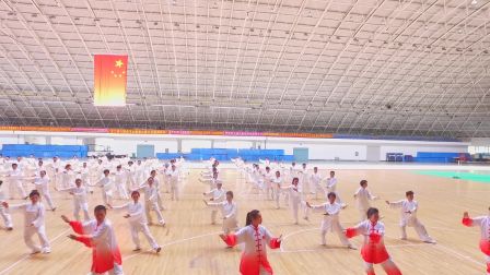 轩德太极拳表演