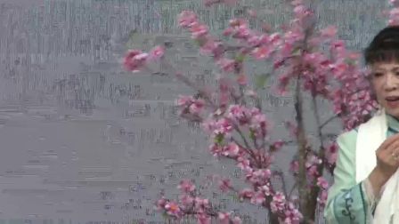 8 沪剧