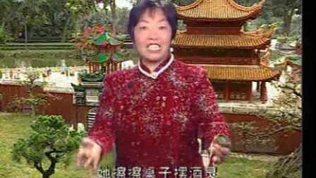 河南琴书《彭孝宗私访》03 武秀英 标清