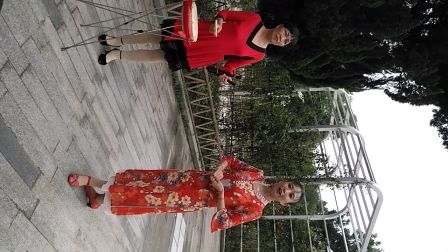 杨琼 楚剧 湖北大鼓20170616