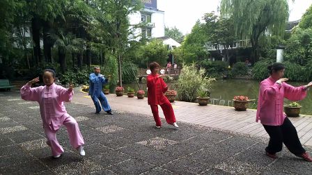 王凤英老师四十式太极拳20170614 《杨式太
