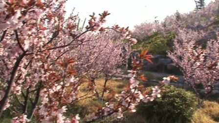 淮剧江姐《红梅赞》
