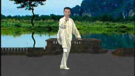 陈思坦 八式太极拳教学