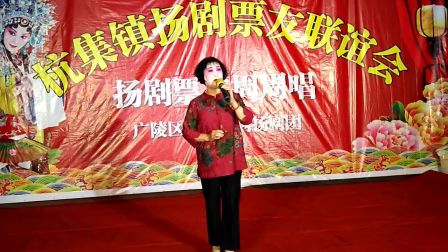 扬剧《白蛇传》选段戏迷票友张道珍老师演唱