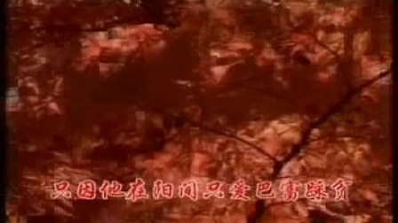 河南琴书《老鼠告猫》